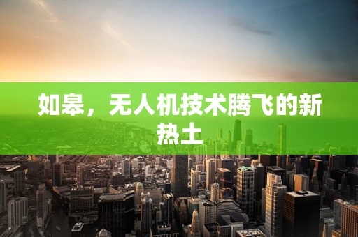 如皋，无人机技术腾飞的新热土