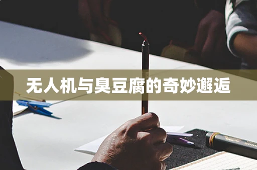 无人机与臭豆腐的奇妙邂逅