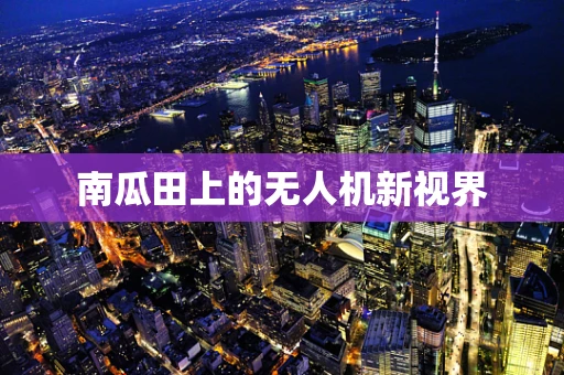 南瓜田上的无人机新视界