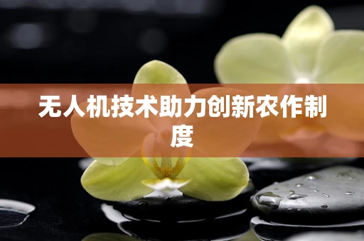 无人机技术助力创新农作制度