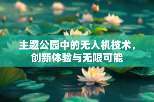主题公园中的无人机技术，创新体验与无限可能