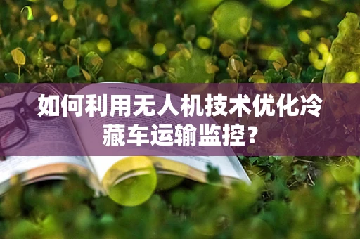 如何利用无人机技术优化冷藏车运输监控？