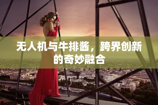 无人机与牛排酱，跨界创新的奇妙融合