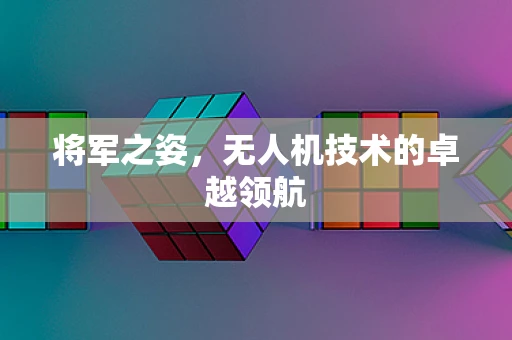 将军之姿，无人机技术的卓越领航