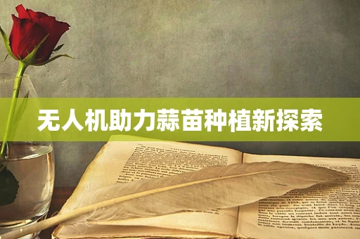 无人机助力蒜苗种植新探索