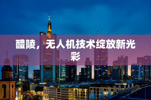醴陵，无人机技术绽放新光彩