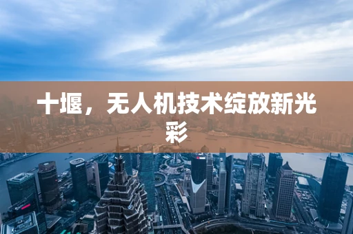 十堰，无人机技术绽放新光彩