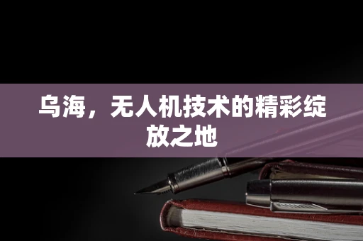 乌海，无人机技术的精彩绽放之地