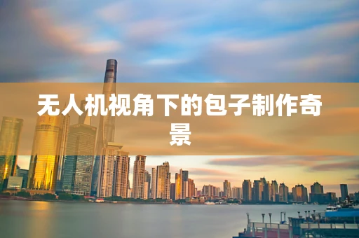 无人机视角下的包子制作奇景