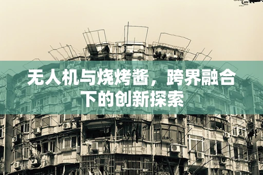 无人机与烧烤酱，跨界融合下的创新探索