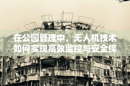 在公园管理中，无人机技术如何实现高效监控与安全保障？