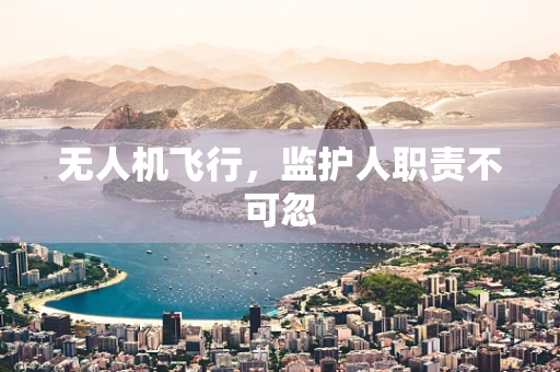 无人机飞行，监护人职责不可忽