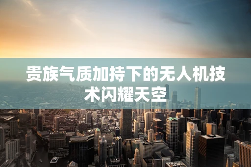 贵族气质加持下的无人机技术闪耀天空