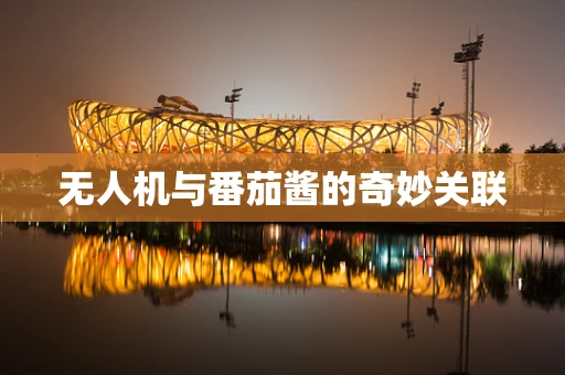 无人机与番茄酱的奇妙关联