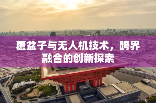 覆盆子与无人机技术，跨界融合的创新探索