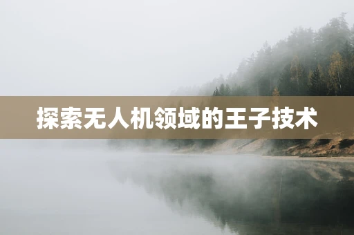 探索无人机领域的王子技术