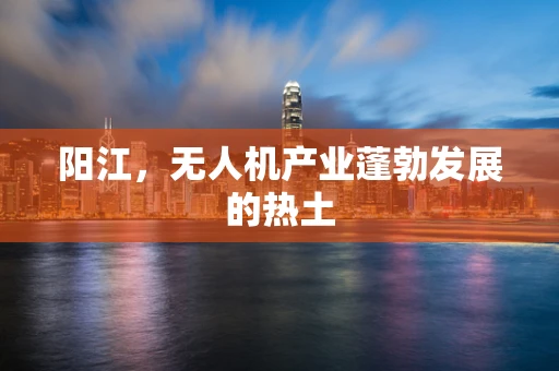 阳江，无人机产业蓬勃发展的热土