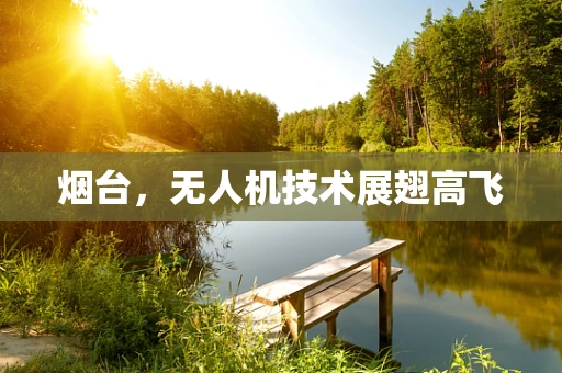 烟台，无人机技术展翅高飞