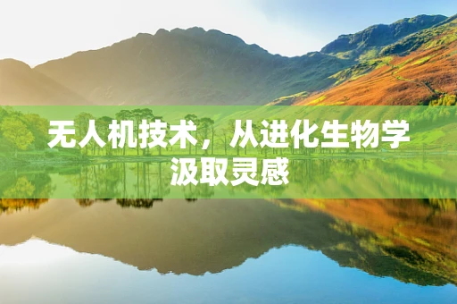 无人机技术，从进化生物学汲取灵感