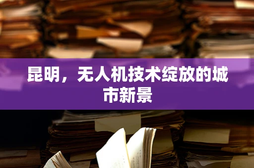 昆明，无人机技术绽放的城市新景