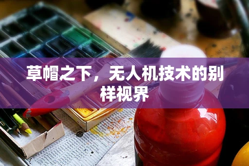 草帽之下，无人机技术的别样视界