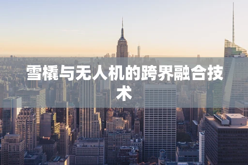 雪橇与无人机的跨界融合技术