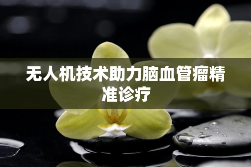 无人机技术助力脑血管瘤精准诊疗