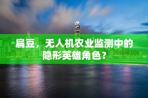 扁豆，无人机农业监测中的隐形英雄角色？