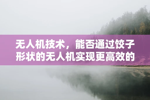 无人机技术，能否通过饺子形状的无人机实现更高效的空中作业？