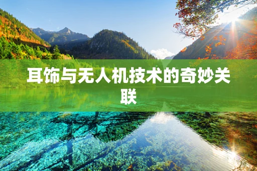 耳饰与无人机技术的奇妙关联