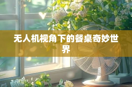 无人机视角下的餐桌奇妙世界