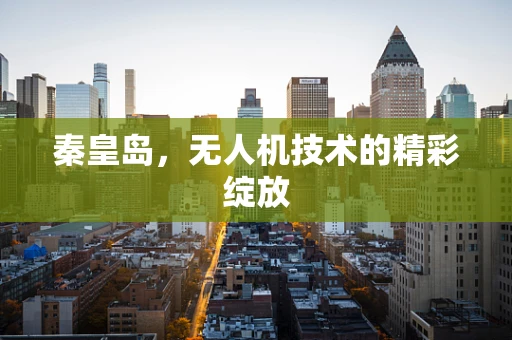 秦皇岛，无人机技术的精彩绽放