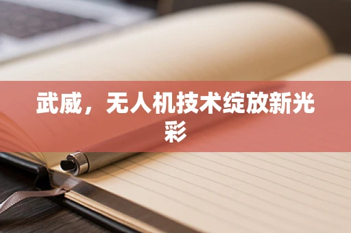 武威，无人机技术绽放新光彩