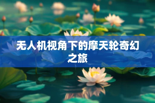 无人机视角下的摩天轮奇幻之旅