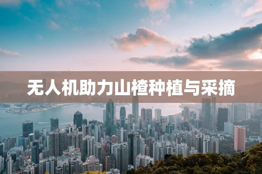无人机助力山楂种植与采摘