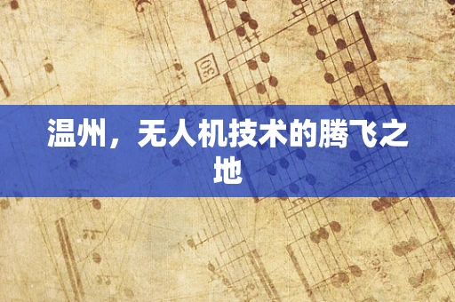 温州，无人机技术的腾飞之地