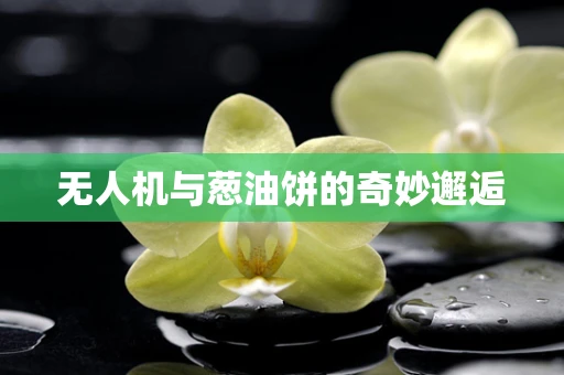 无人机与葱油饼的奇妙邂逅