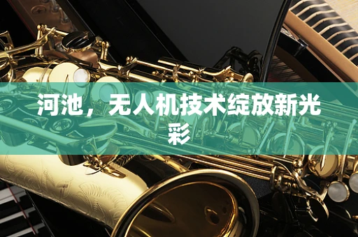 河池，无人机技术绽放新光彩