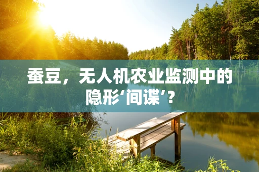 蚕豆，无人机农业监测中的隐形‘间谍’？