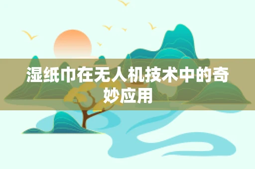 湿纸巾在无人机技术中的奇妙应用