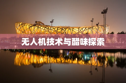 无人机技术与醋味探索