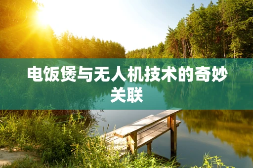 电饭煲与无人机技术的奇妙关联