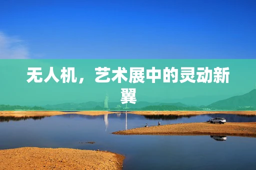 无人机，艺术展中的灵动新翼
