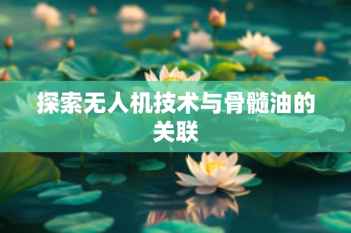 探索无人机技术与骨髓油的关联