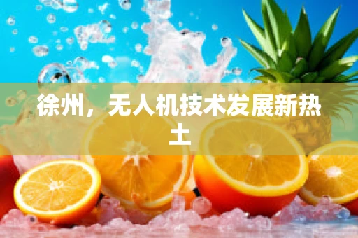 徐州，无人机技术发展新热土