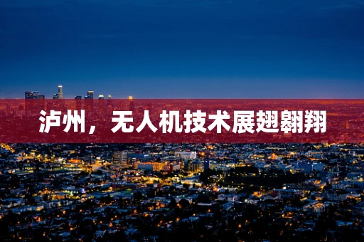 泸州，无人机技术展翅翱翔