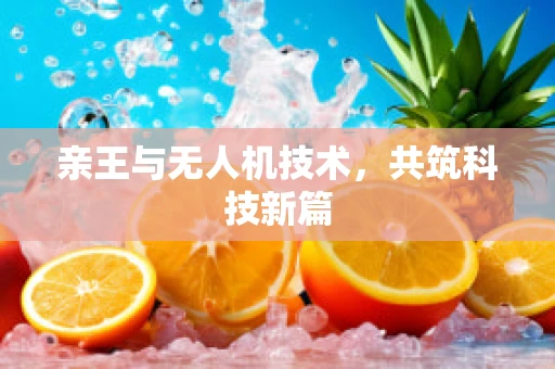 亲王与无人机技术，共筑科技新篇