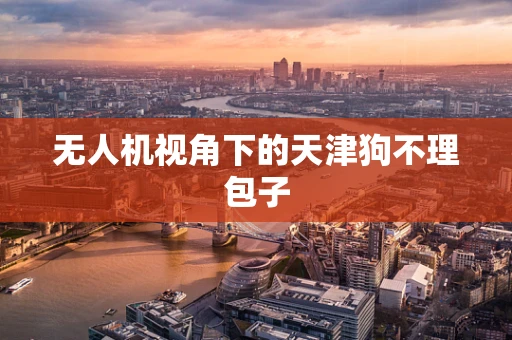 无人机视角下的天津狗不理包子