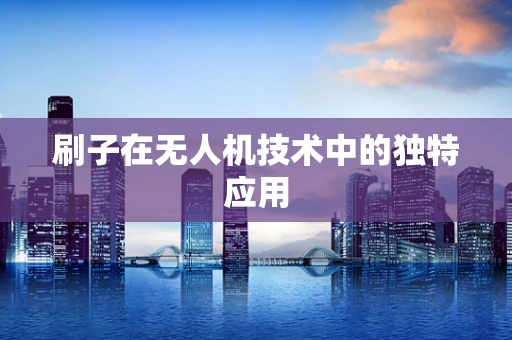 刷子在无人机技术中的独特应用