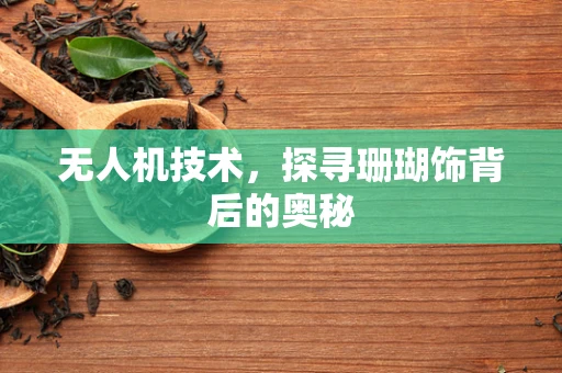 无人机技术，探寻珊瑚饰背后的奥秘
